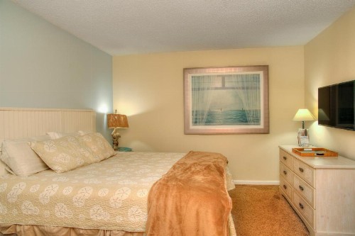 Ocean Forest Plaza by Palmetto Vacations - image 8