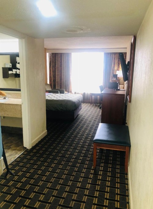 Quail Inn and Suites - Myrtle Beach - image 25