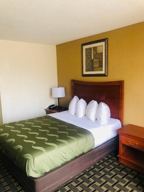 Quail Inn and Suites - Myrtle Beach - image 26