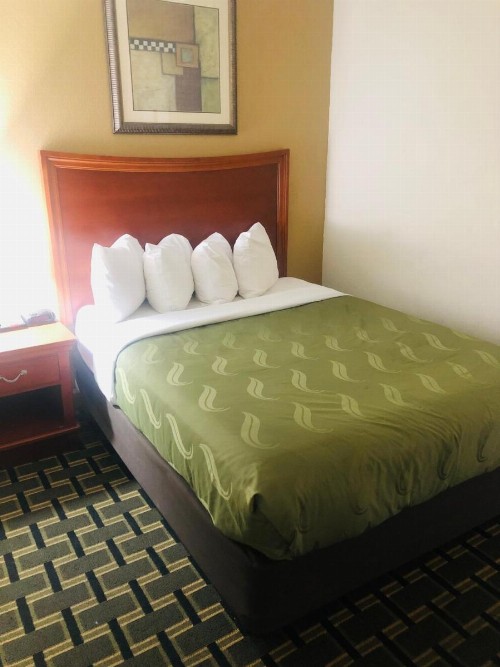 Quail Inn and Suites - Myrtle Beach - image 34