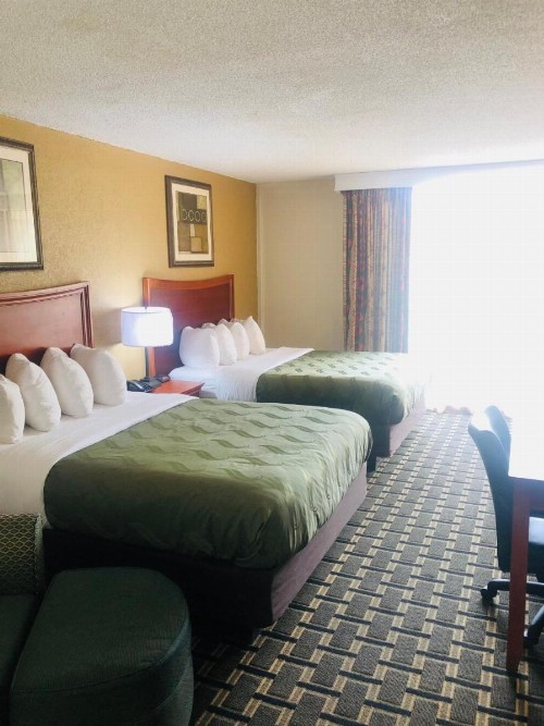 Quail Inn and Suites - Myrtle Beach - image 9