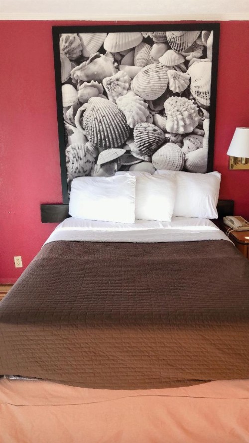 Royal Palace Inn and Suites Myrtle Beach Ocean Blvd - image 25