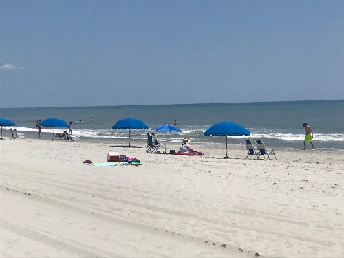 Sea Dunes Oceanfront - image 6