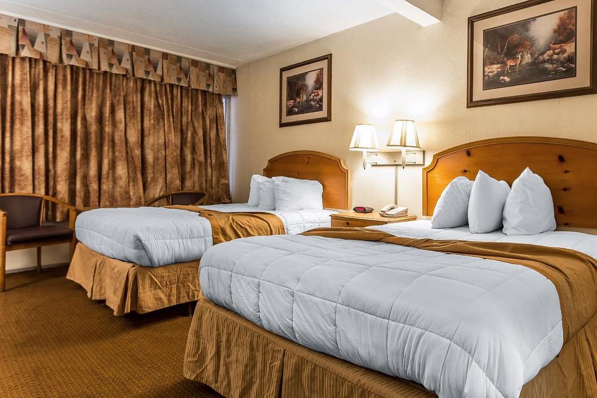 Atlantic Paradise Inn & Suites - image 3