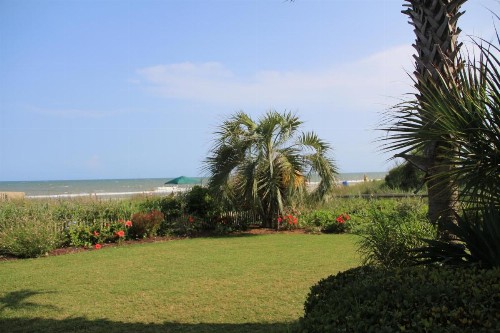Jade Tree Cove by Capital Vacations - image 11