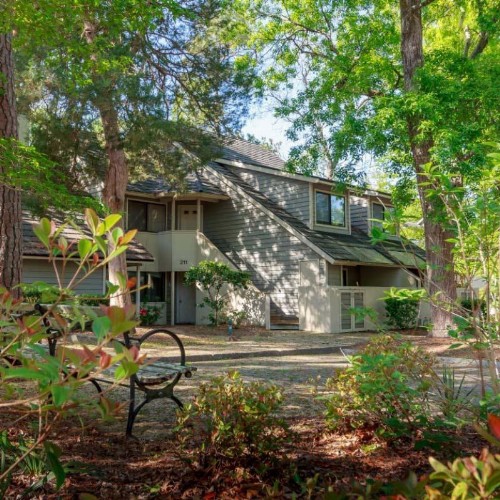 Palmetto Vacation Rentals at Kingston Plantation - image 36