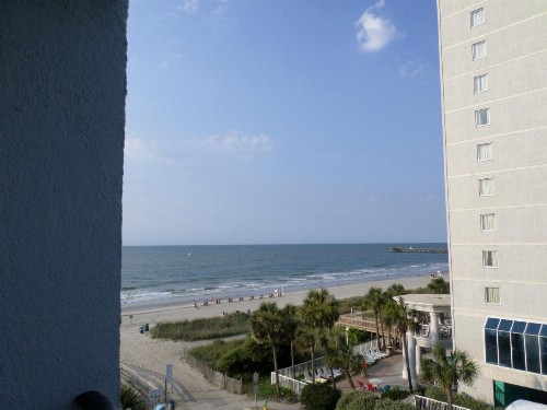 Tropical Seas Hotel - image 2