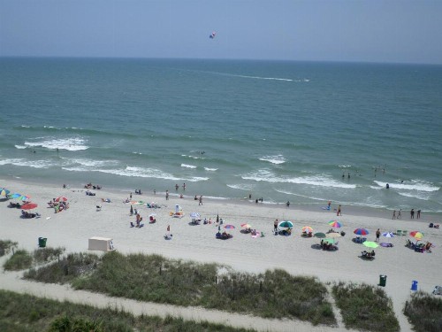 Tropical Seas Hotel - image 3