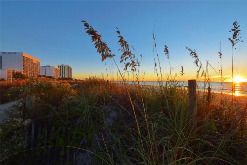 Holiday Sands North On the Boardwalk - image 18
