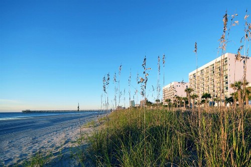 Holiday Sands North On the Boardwalk - image 38