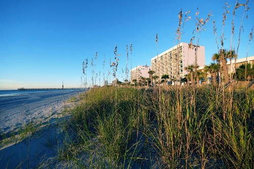 Holiday Sands North On the Boardwalk - image 39