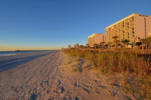 Holiday Sands North On the Boardwalk - image 40