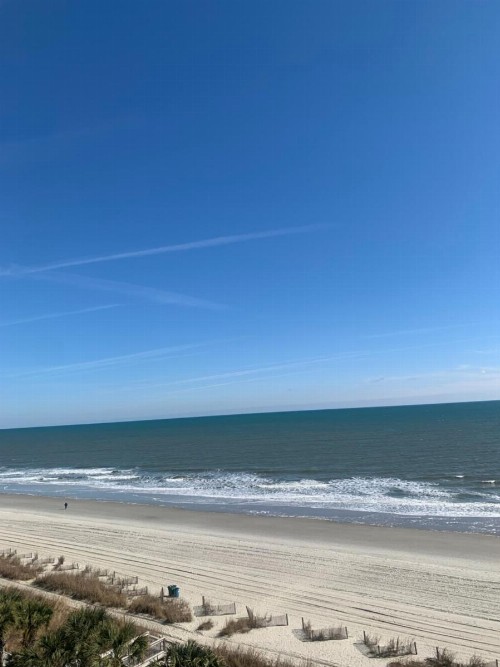Ocean Front Rentals - image 12