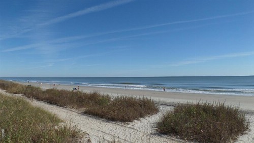 Firebird Townhomes #5