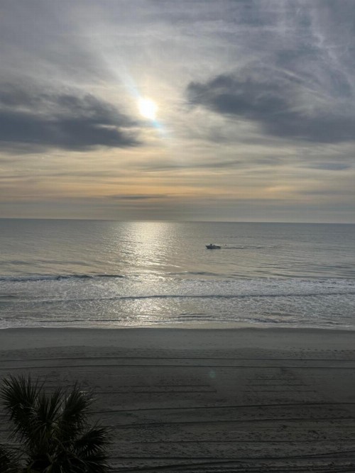 Carolina Shores ll - image 49