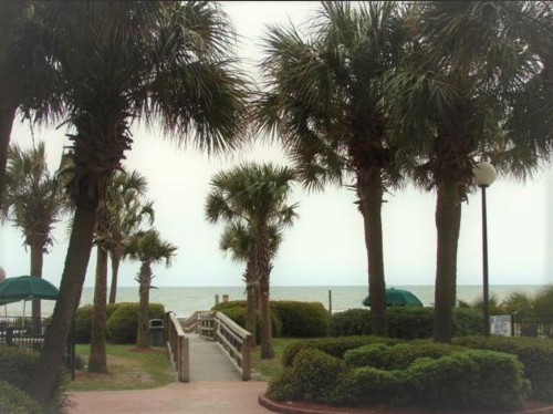 Suites at the Beach - image 26