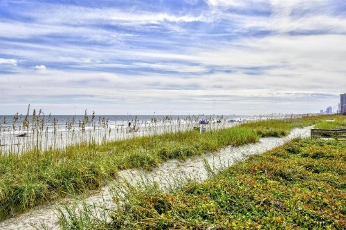 Suites at the Beach - image 31