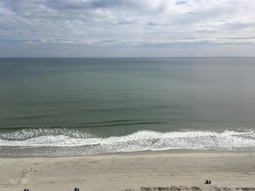 Suites at the Beach - image 35