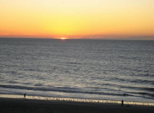 Suites at the Beach - image 36