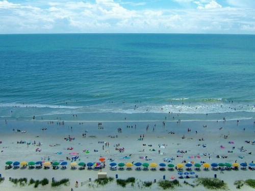 Suites at the Beach - image 38