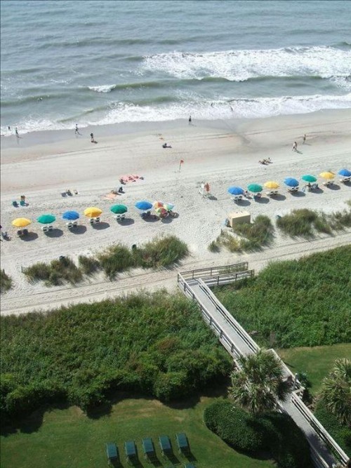 Suites at the Beach - image 39
