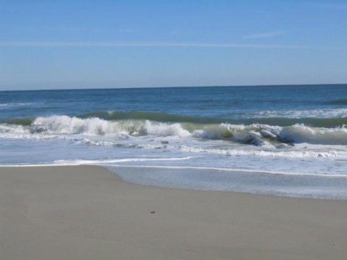 Suites at the Beach - image 41