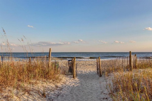 Arcadian Dunes 18-272 - image 11