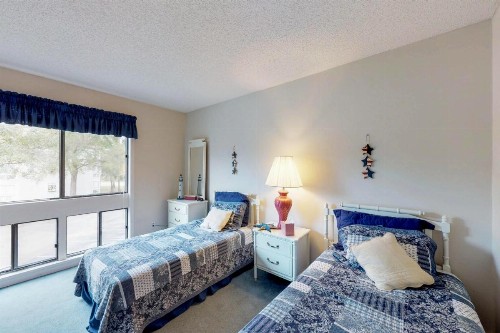 Arcadian Dunes 18-272 - image 6