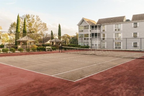 Arcadian Dunes 18-272 - image 9