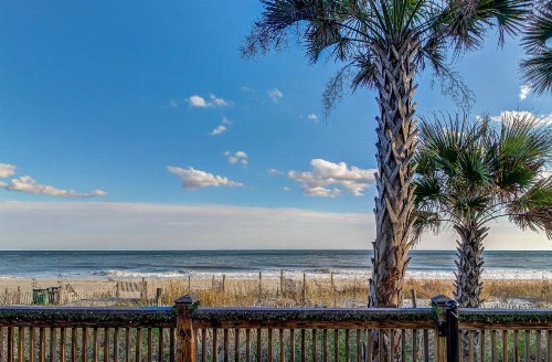 Arcadian Dunes 01-304 - image 7
