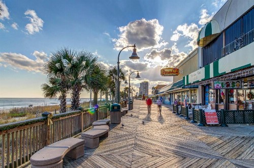Arcadian Dunes 01-304 - image 8