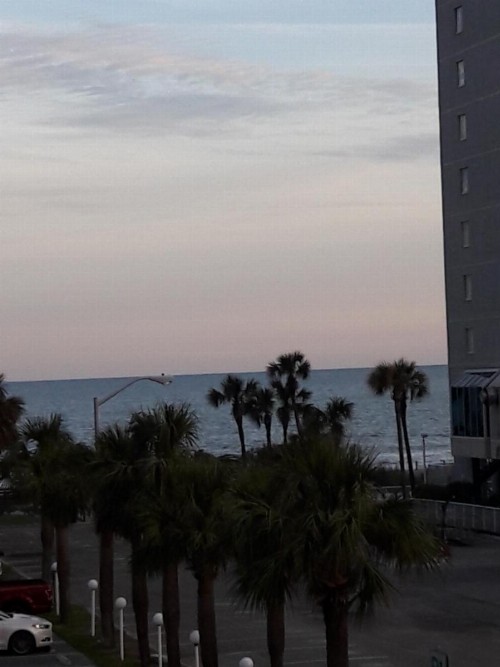 Ocean Waves Hotel - image 5