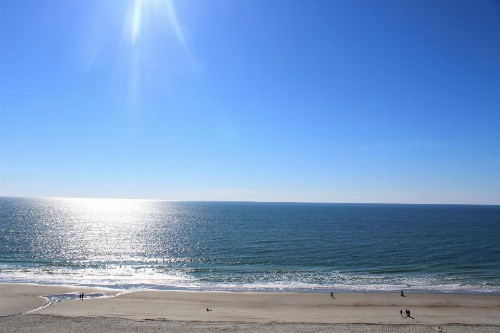Meridian Plaza by Palmetto Vacations - image 12
