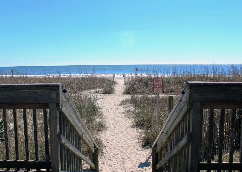 Meridian Plaza by Palmetto Vacations - image 4