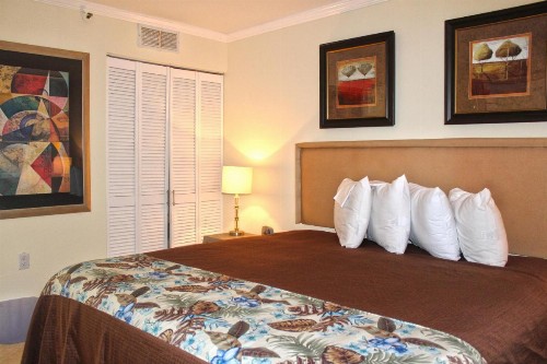Meridian Plaza by Palmetto Vacations - image 6