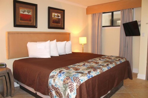 Meridian Plaza by Palmetto Vacations - image 7