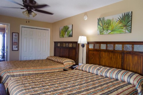 Palms Resort - image 12