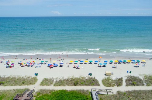 Palms Resort - image 8