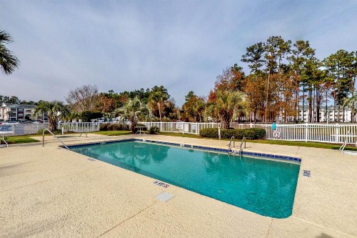 Beach Eagle - image 1