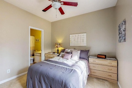 Beach Eagle - image 9