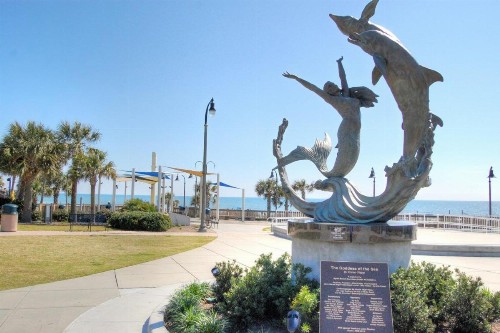 Mariners Cove 335 D - image 22