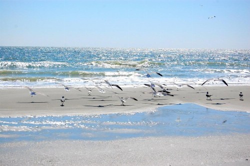 A Place at The Beach 9540-2H - image 7