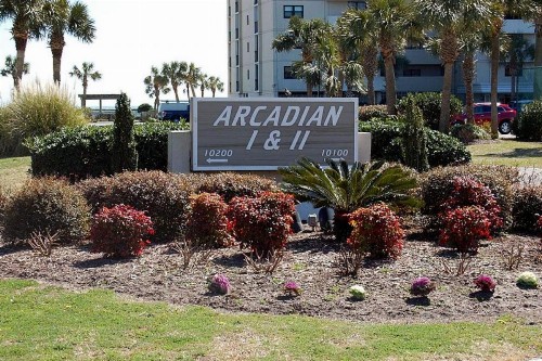 Arcadian II B11 - image 5