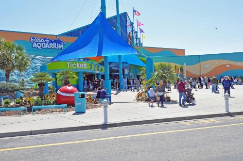 HOLIDAY TOWERS 206 OCEAN VIEW 3BR. CLOSE TO BOARDWALK WiFi. - image 38