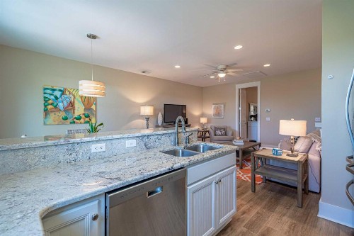 Luxury N Myrtle Beach Villa Resort Amenities! - image 8