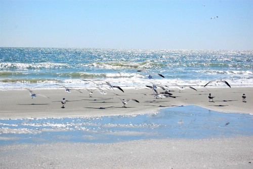 Carol Bay 403 - image 26