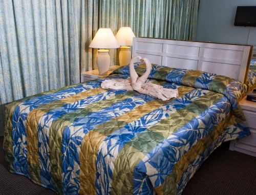 Family Condo Midway of The Grand Strand - One Bedroom Condo #1 - image 11