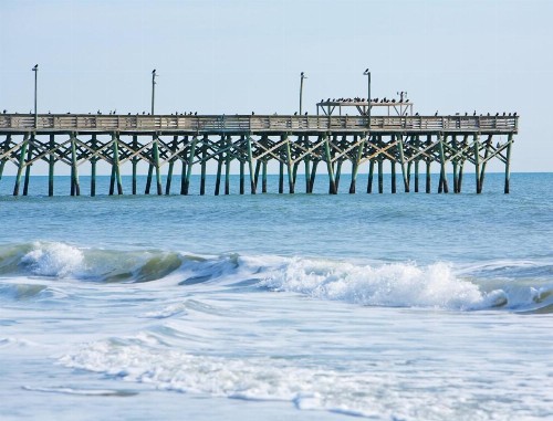 Private Comfort at the Grand Strand - Surfside Beach Villa - 2BR Villa #1 - image 3