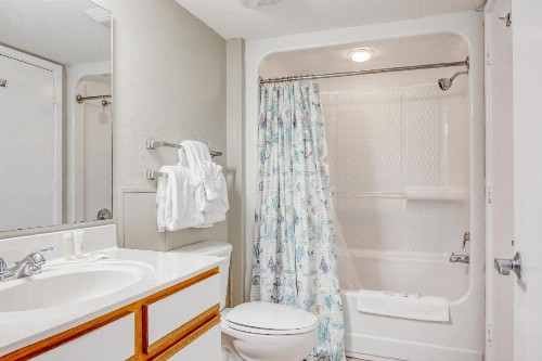 Roxanne Towers 1101 - image 12