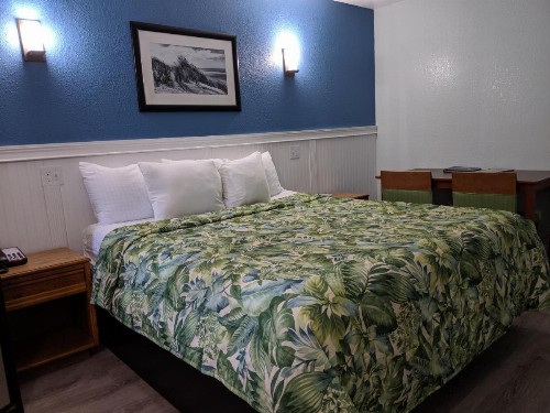 Colonial Inn - image 29